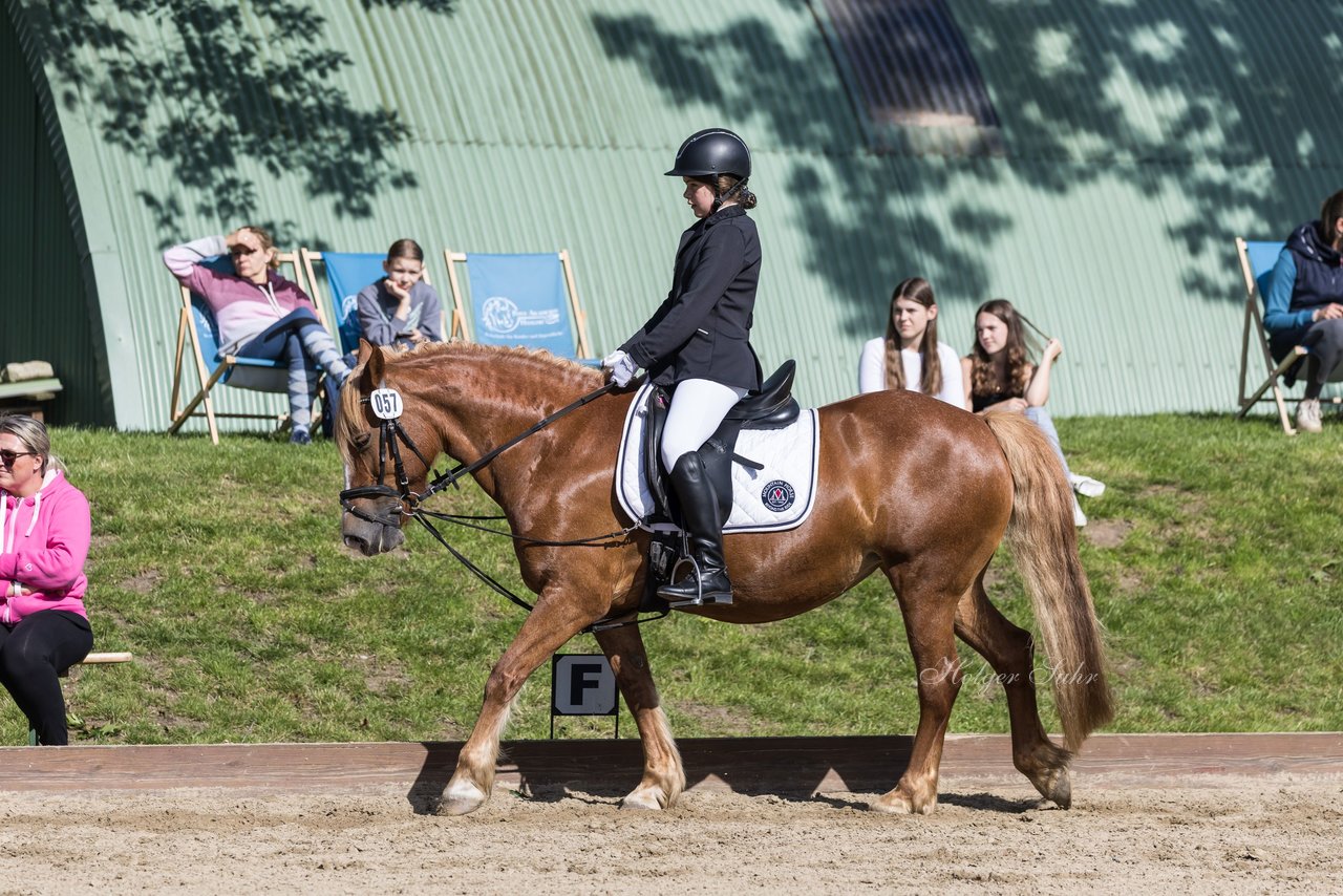 Bild 51 - Pony Akademie Turnier